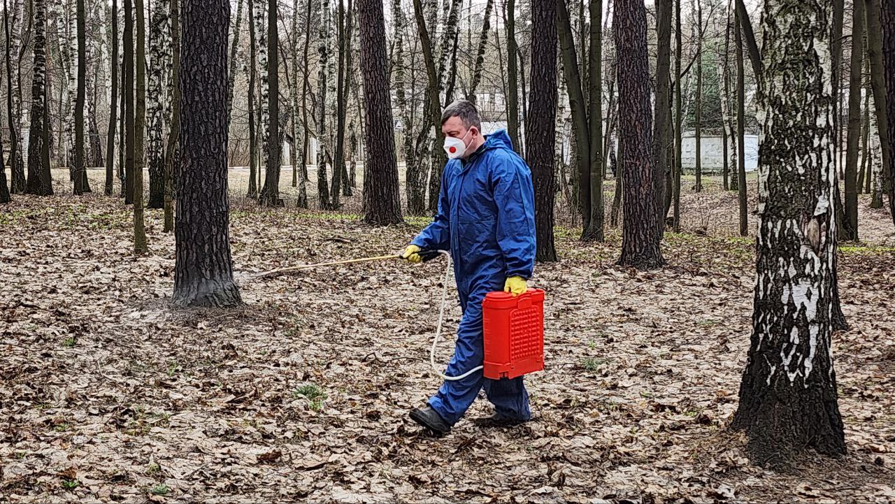 В пяти парках Люберец провели противоклещевую обработку | Администрация  городского округа Люберцы Московской области